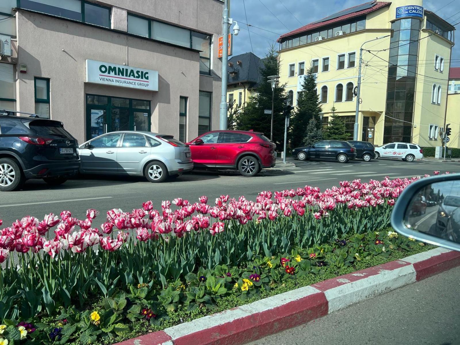 Central-Home Targu Jiu Exterior photo